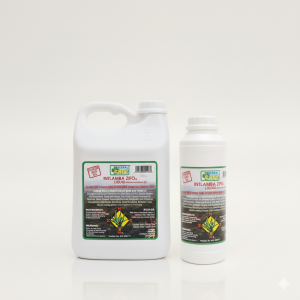 Sutherlandia Frutescens Tea (Intlamba Zifo)